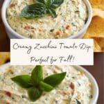 Zucchini Dip Recipe