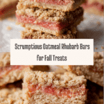 Delicious Oatmeal Rhubarb Bars Recipe
