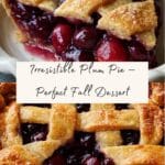 Plum Good Pie Recipe