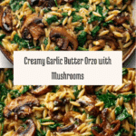 Garlic Butter Orzo with Mushrooms and Spinach Recipe