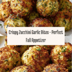 cchini Garlic Bites – A Savory Appetizer Recipe