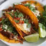 Birria Tacos Recipe
