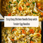 Easy Chicken Noodle Soup with Egg Noodles Recipe