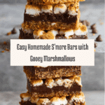 Easy Homemade S'more Bars Recipe